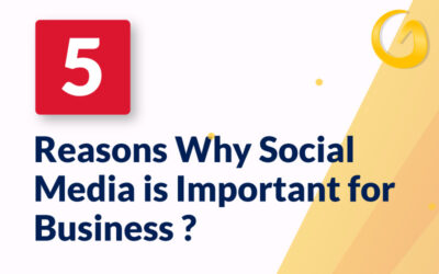 5 Reason Why Social Media is Important for Business ?
